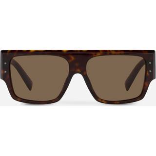 Dolce & Gabbana Kvinde DG4459 502/73 Solbriller Acetat Skildpadde Brun Firkantet Normal