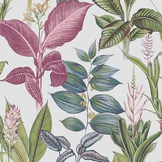Next Wallpaper Fantasy Rainforest Leaves 118299