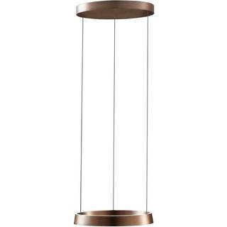 Light-Point Edge Round Ø50 Rose Gold