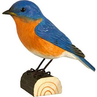 Wildlife Garden Østlig Blåfugl - Udendørsliv fra Wildlife Garden