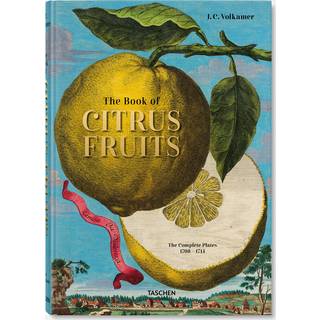 Taschen Coffee Table Books - 'J C Volkamer: The Book of Citrus Fruits' in MULTICOLOR Paper
