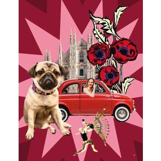 Vendome Press Coffee Table Books - 'Mamma Milano' in Multicolor Paper