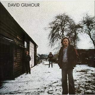 David Gilmour