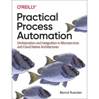 Practical Process Automation