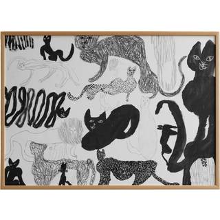 Fine Little Day Cats plakat 50x70 cm