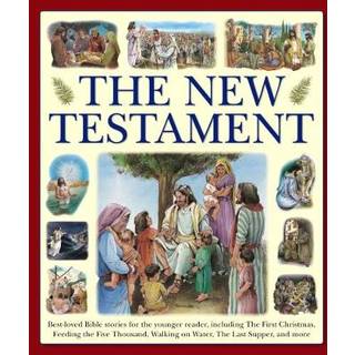 New Testament (giant Size) (4, 2017) | Armadillo Books
