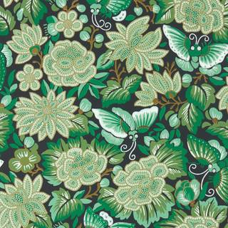 Amara Butterfly Emerald/Ink Black - DWAW217117