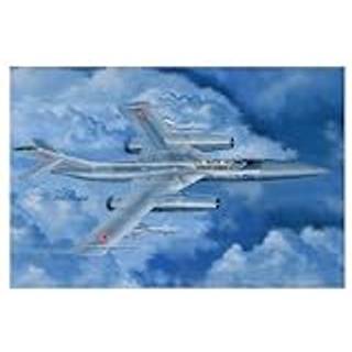 Russian Yak-28P Firebar