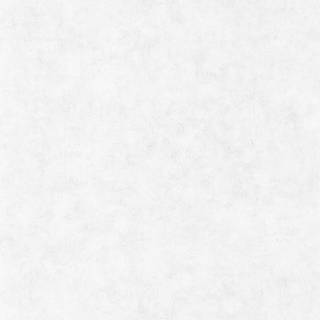 Beton Uni Gris Clair - BET101489000