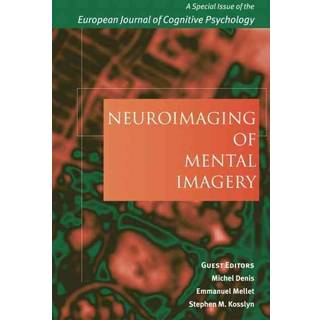 Neuroimaging of Mental Imagery