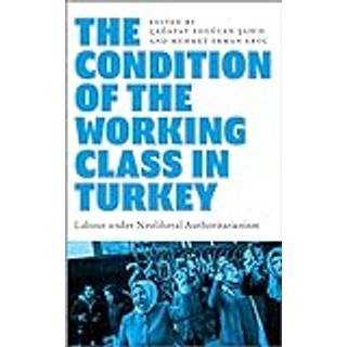 The Condition of the Working Class in Turkey