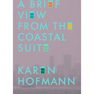 Brief View from the Coastal Suite, A