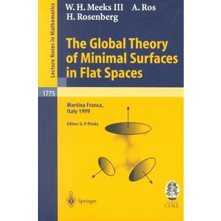 The Global Theory of Minimal Surfaces in Flat Spaces