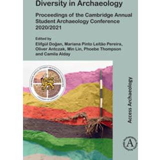 Diversity in Archaeology