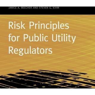 Risk Principles for Public Utility Regulators