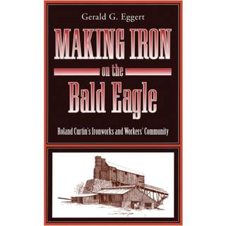 Making Iron on the Bald Eagle