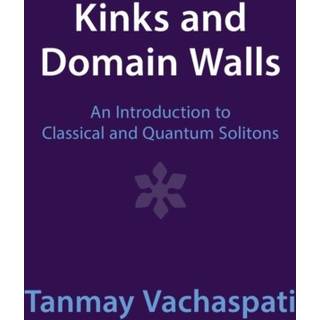 Kinks and Domain Walls