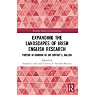Expanding the Landscapes of Irish English Research