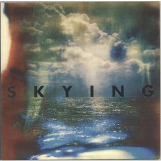 The Horrors - Skying