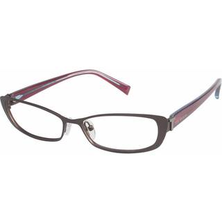 Ted Baker B218 BRN 51 Briller Kvinder Brun - Dark Brown - 51mm