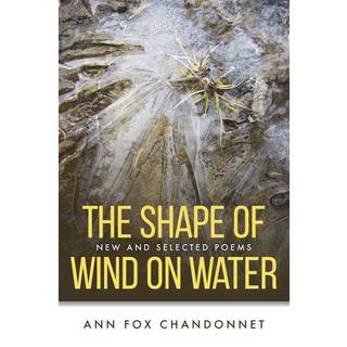 The Shape of Wind on Water