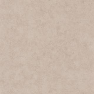Beton Uni Taupe Beige Fonce - BET101481342