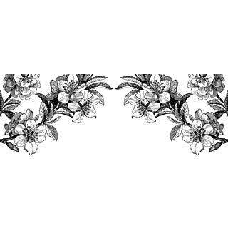 Springtime - Black & White