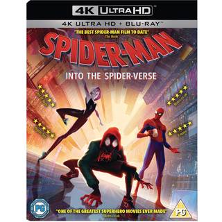 Spiderman into the Spiderverse 2 - Spider-Man: Into The Spider-Verse