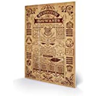 HARRY POTTER - Wood Print 20x29.5 - Quidditch at Hogwarts