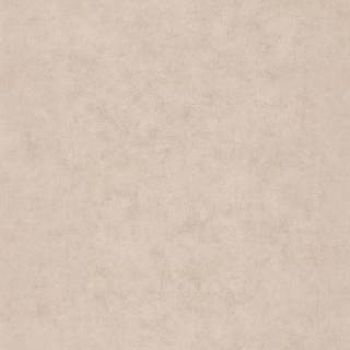 Beton Uni Taupe Beige Moyen Irise - BET101491287