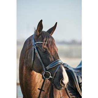 HorseGuard Cryll 23.2 Crystal Rock Trense - FULL
