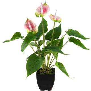 Kunstig Flamingoblomst, hvid/lyserød