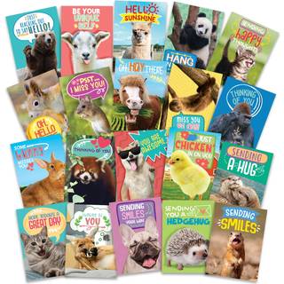 T Marie 40 Funny Animal Postcards - Bulk Thinking Of You Postcard Pack til b?rn Studerende Venner L?rer og mere - Sig hej tak, eller jeg savner d