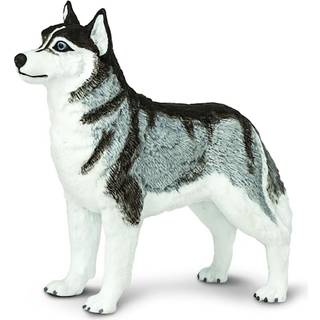 Safari Ltd. Siberian Husky Figurine - Detaljeret 3,25 """" Plastikmodelfigur - Sjovt uddannelsesleget?j til drenge piger og b?rn i alderen 3+