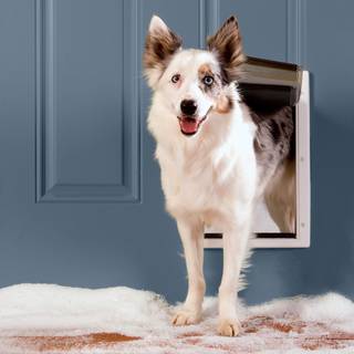 Petsafe Extreme Weather Door Medium (hvid)