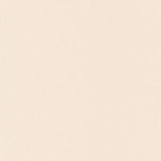 LINEN UNI BEIGE - LINN68521020