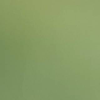 Modern Classics II - 901-65