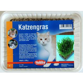 Kattegræs 100g