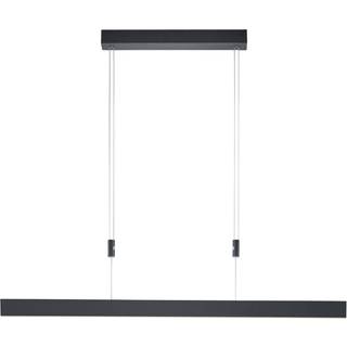 Delta LED-pendel, 100 cm, sort
