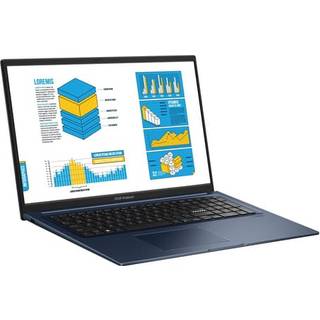 ASUS Vivobook 17 17,3" bærbar computer, Win 11 (F1704ZA-AU117W)