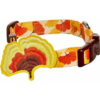 Blueberry Pet Thanksgiving Fall Ginkgo Biloba blad Justerbar hundekrage med aftagelig tilbehør Stor hals 18 """"-26 """"