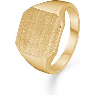 Avilé Jewelry Brushed Signet Ring 18 kt. Forgyldt Sølv DI001-GP-62 - Unisex - 925 Sterling Silver