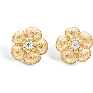 Blossom forgyldt ørestikker buttede blomster med cz
