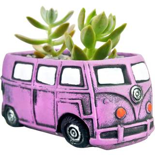 Ascrafter C?de saftige planter Pots Sm? planterpotter med dr?ningshul blomsterpotter til hjemme indend?rs udend?rs have dekoration (lilla bus)