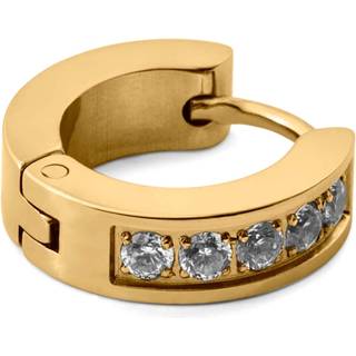 Floyd Guldfarvet Zirconia Hoop Ørering