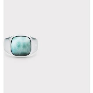 IX Cushion Signet Ring Larimar Silver