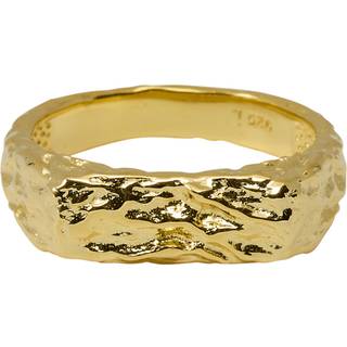 SRBlurry Signet Ring