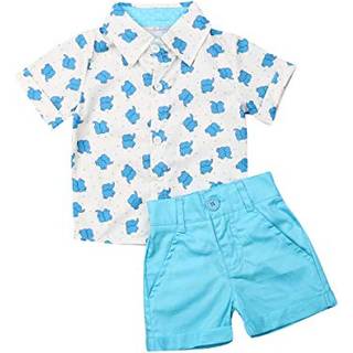 Visgogo Toddler Baby Boy Flamingo Kort?rmet knap Ned Shirt & Casual Shorts s?t sommerant?j 1-6 ?rs t?j