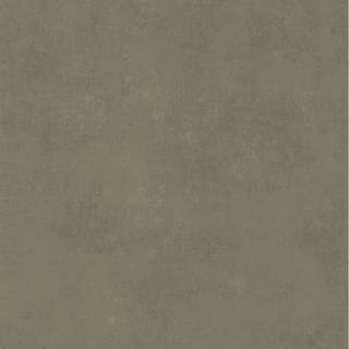 Stone Lichen - STNE80837434