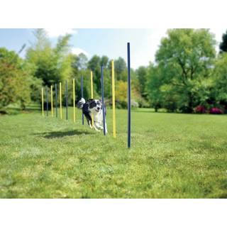 Agility slalom pinde 12 stk blå/gul